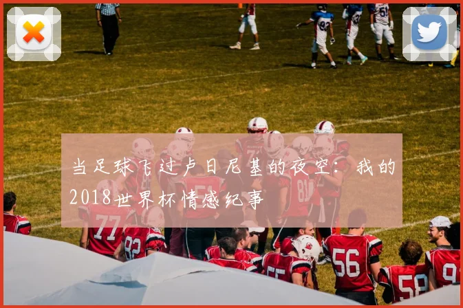 当足球飞过卢日尼基的夜空：我的2018世界杯情感纪事